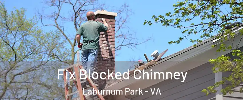 Fix Blocked Chimney Laburnum Park - VA