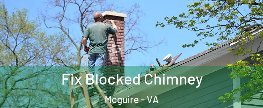 Fix Blocked Chimney Mcguire - VA