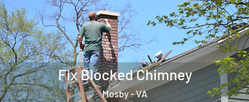 Fix Blocked Chimney Mosby - VA