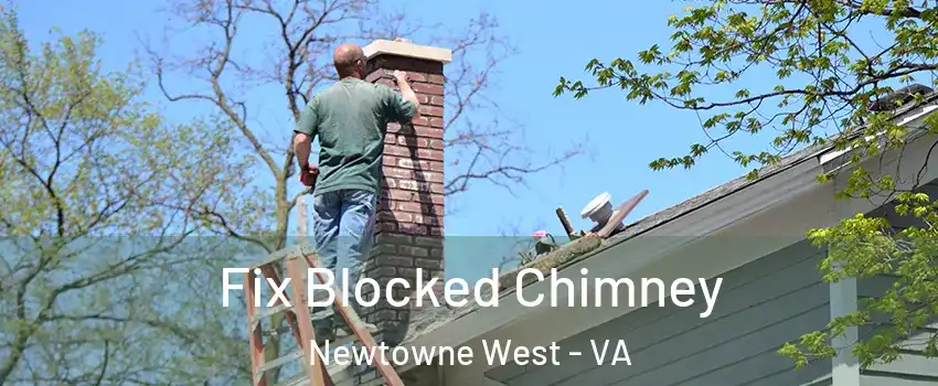 Fix Blocked Chimney Newtowne West - VA