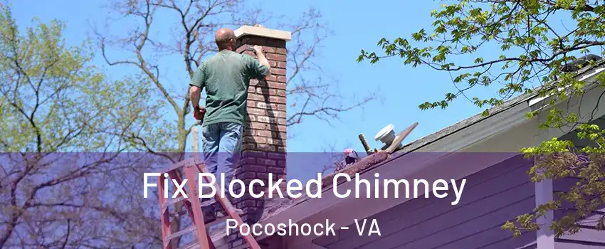 Fix Blocked Chimney Pocoshock - VA