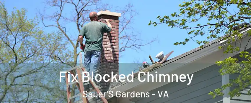 Fix Blocked Chimney Sauer'S Gardens - VA