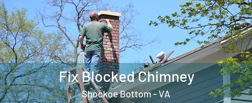 Fix Blocked Chimney Shockoe Bottom - VA