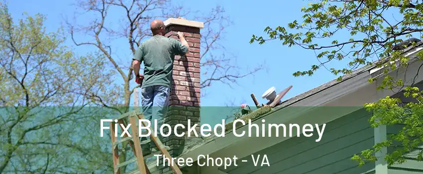 Fix Blocked Chimney Three Chopt - VA