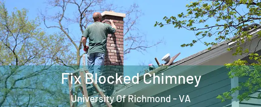 Fix Blocked Chimney University Of Richmond - VA