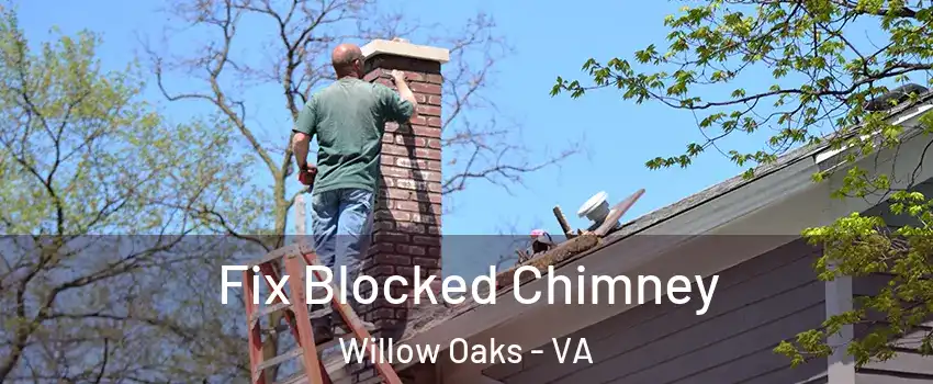 Fix Blocked Chimney Willow Oaks - VA