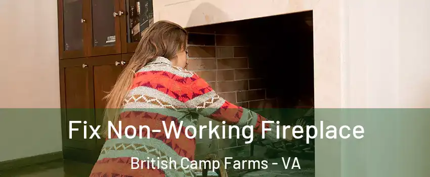 Fix Non-Working Fireplace British Camp Farms - VA