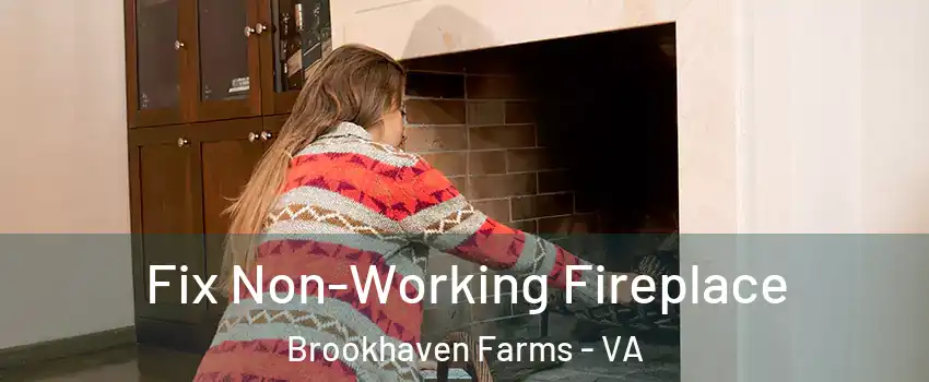 Fix Non-Working Fireplace Brookhaven Farms - VA