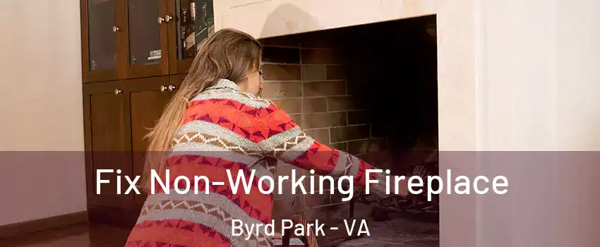 Fix Non-Working Fireplace Byrd Park - VA