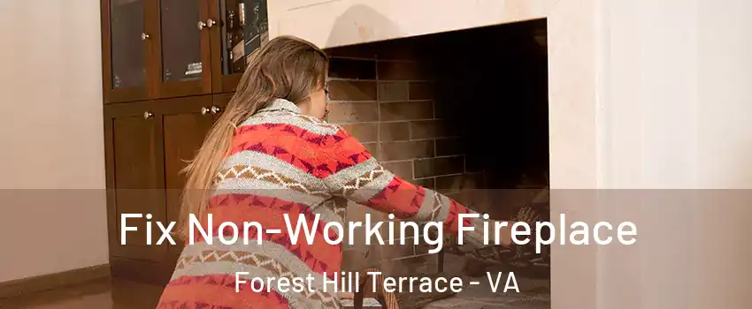 Fix Non-Working Fireplace Forest Hill Terrace - VA