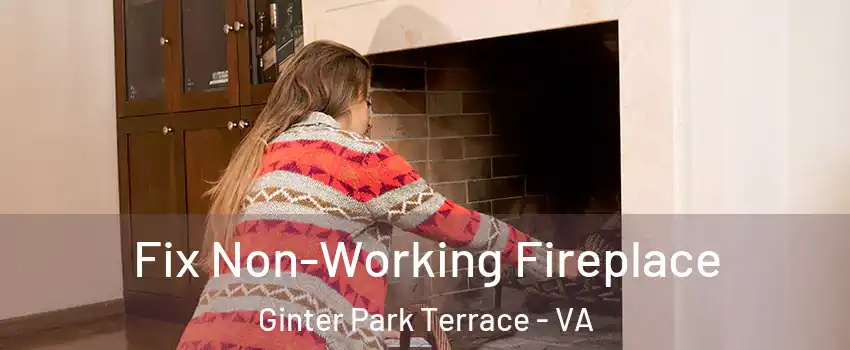 Fix Non-Working Fireplace Ginter Park Terrace - VA