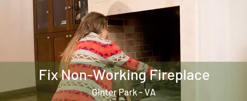 Fix Non-Working Fireplace Ginter Park - VA