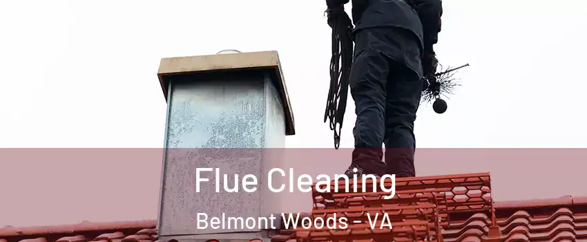 Flue Cleaning Belmont Woods - VA