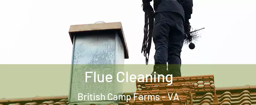 Flue Cleaning British Camp Farms - VA