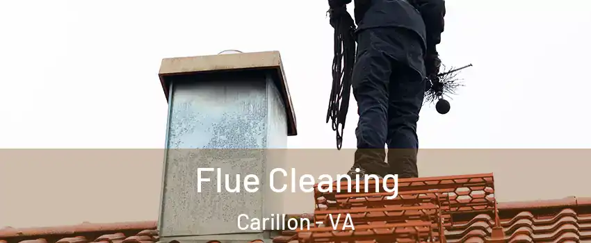 Flue Cleaning Carillon - VA