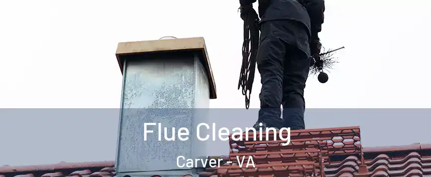 Flue Cleaning Carver - VA