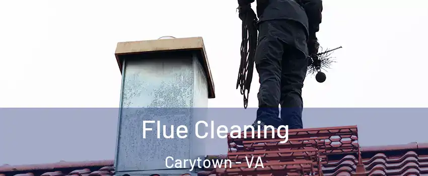 Flue Cleaning Carytown - VA