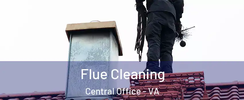 Flue Cleaning Central Office - VA