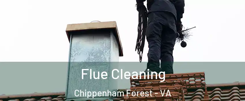 Flue Cleaning Chippenham Forest - VA