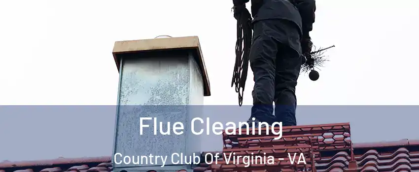 Flue Cleaning Country Club Of Virginia - VA