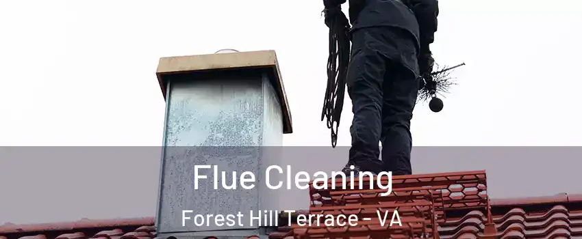 Flue Cleaning Forest Hill Terrace - VA