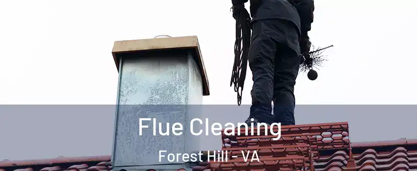 Flue Cleaning Forest Hill - VA