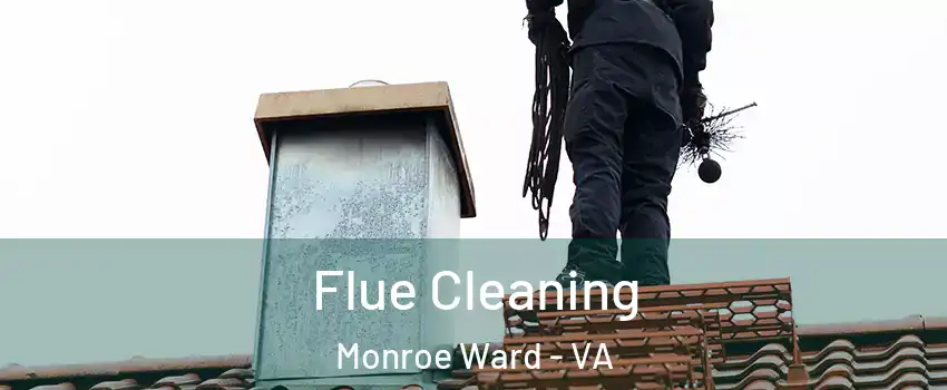 Flue Cleaning Monroe Ward - VA