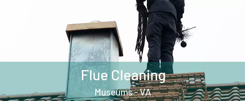 Flue Cleaning Museums - VA