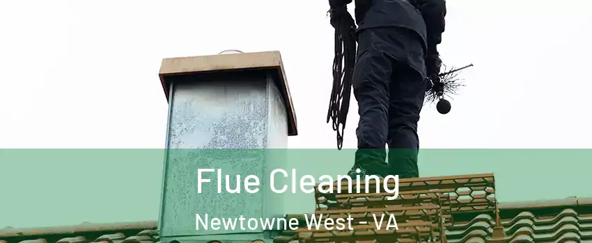 Flue Cleaning Newtowne West - VA