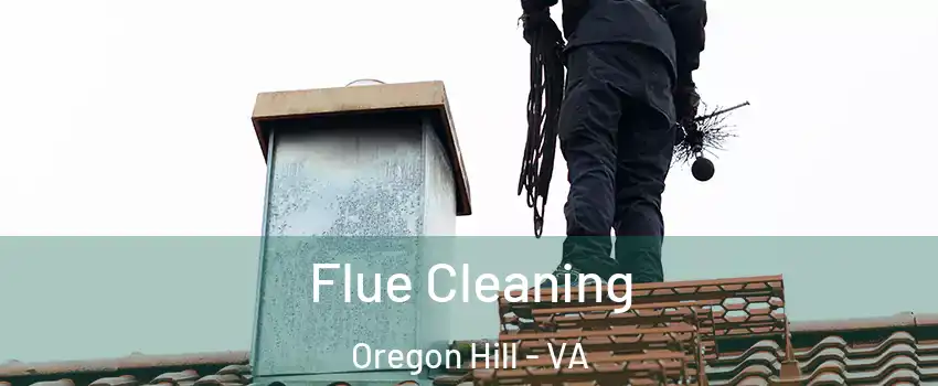 Flue Cleaning Oregon Hill - VA