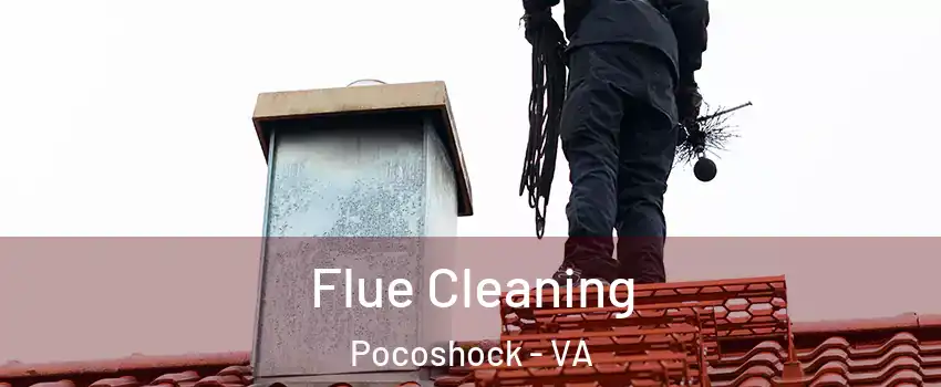 Flue Cleaning Pocoshock - VA