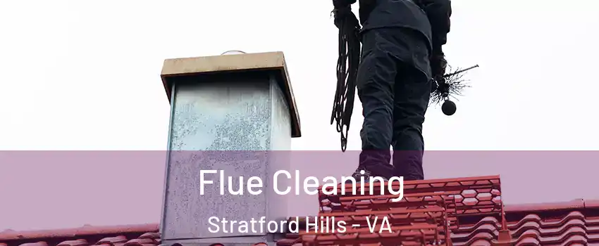 Flue Cleaning Stratford Hills - VA