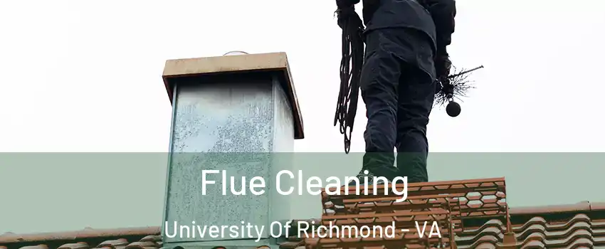 Flue Cleaning University Of Richmond - VA