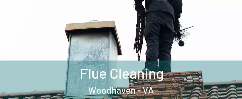 Flue Cleaning Woodhaven - VA