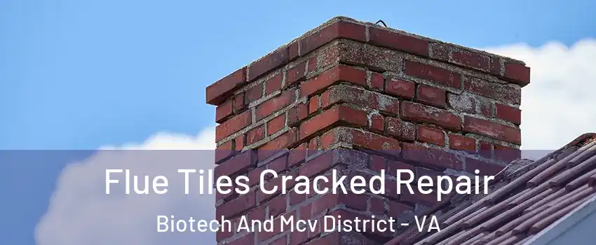 Flue Tiles Cracked Repair Biotech And Mcv District - VA