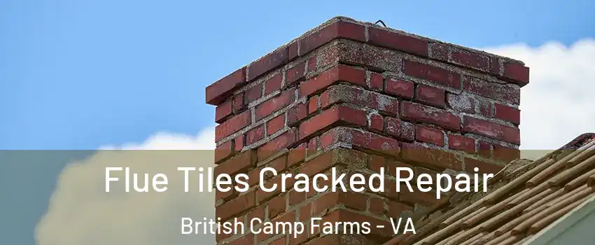 Flue Tiles Cracked Repair British Camp Farms - VA