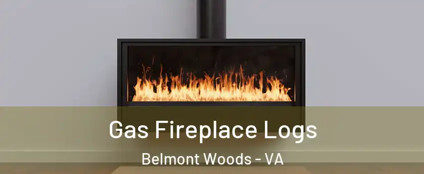 Gas Fireplace Logs Belmont Woods - VA