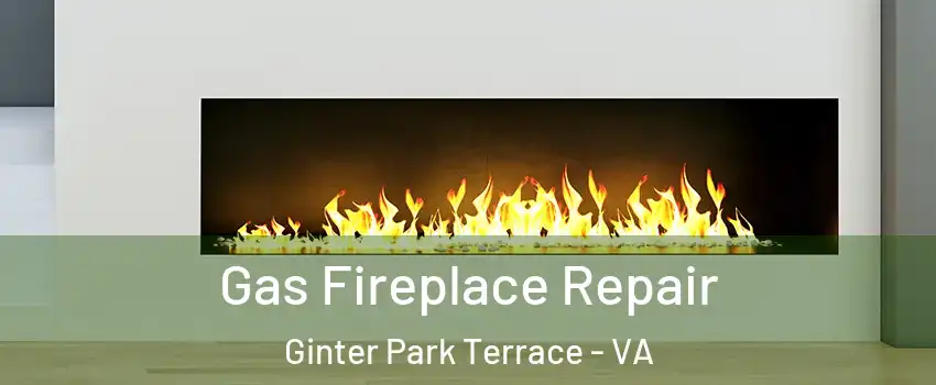 Gas Fireplace Repair Ginter Park Terrace - VA