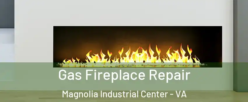 Gas Fireplace Repair Magnolia Industrial Center - VA