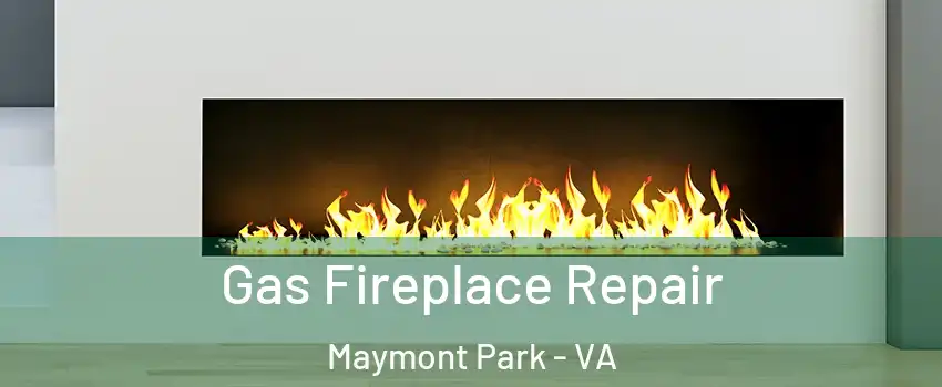 Gas Fireplace Repair Maymont Park - VA