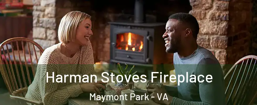 Harman Stoves Fireplace Maymont Park - VA