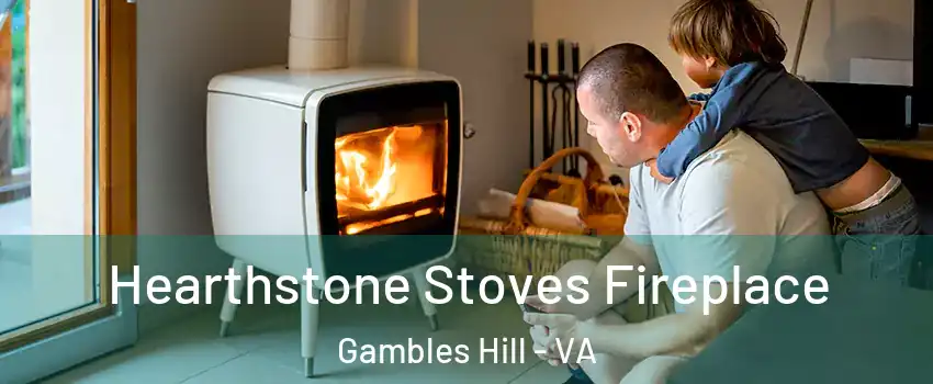 Hearthstone Stoves Fireplace Gambles Hill - VA