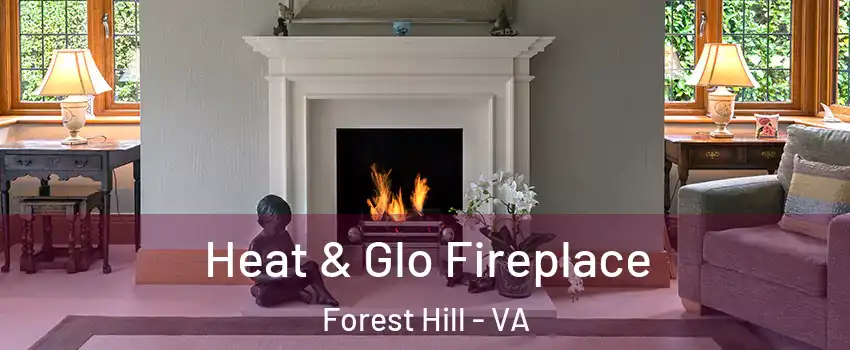 Heat & Glo Fireplace Forest Hill - VA