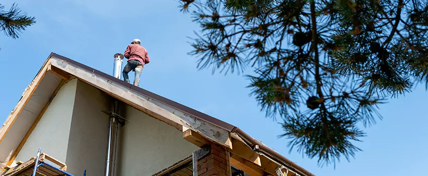 Birds Removal Contractors from Chimney in Huguenot, VA