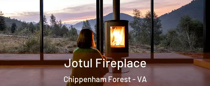 Jotul Fireplace Chippenham Forest - VA