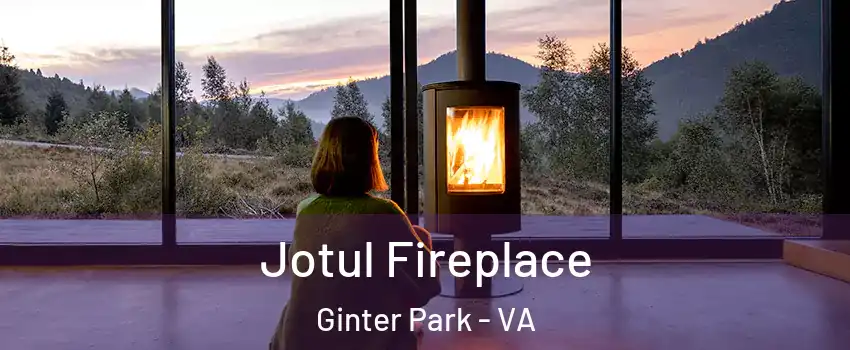 Jotul Fireplace Ginter Park - VA