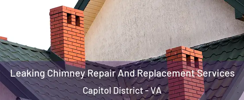 Leaking Chimney Repair And Replacement Services Capitol District - VA