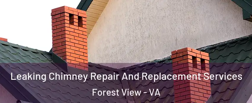 Leaking Chimney Repair And Replacement Services Forest View - VA