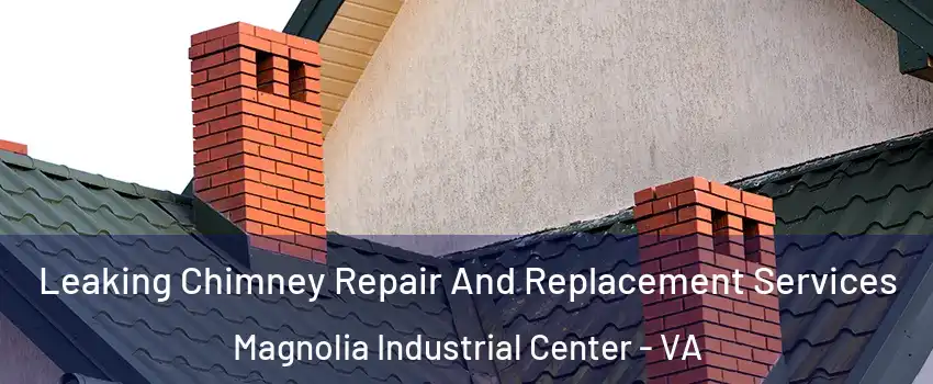 Leaking Chimney Repair And Replacement Services Magnolia Industrial Center - VA