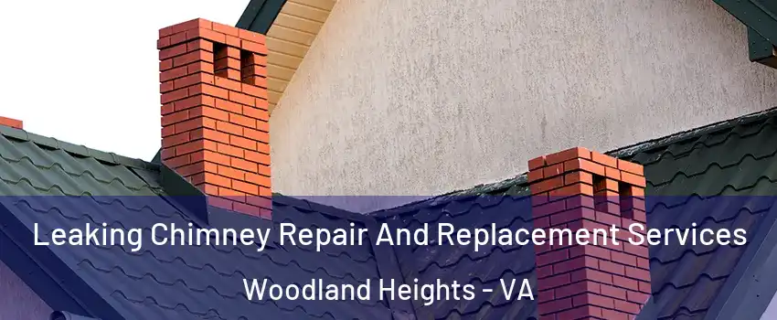 Leaking Chimney Repair And Replacement Services Woodland Heights - VA